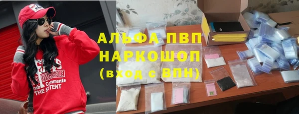 крисы Елизово