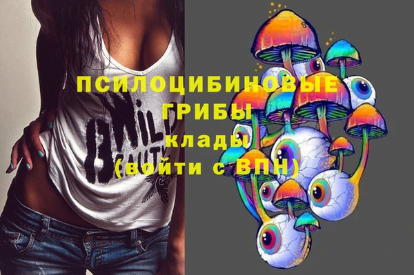 бошки Козельск