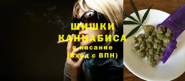 крисы Елизово
