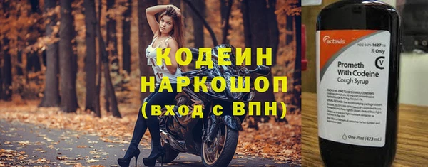 таблы Ельня