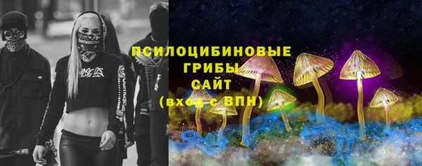 таблы Ельня