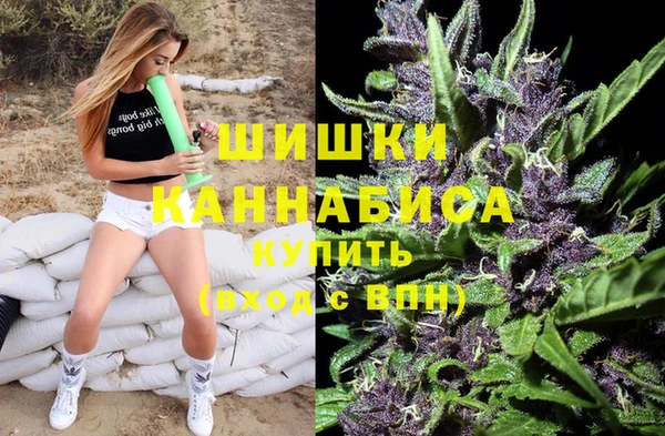 крисы Елизово