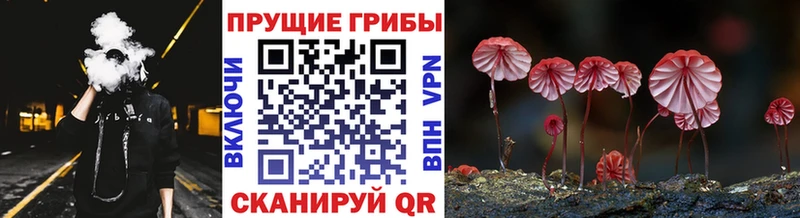 darknet какой сайт  Велиж  Галлюциногенные грибы MAGIC MUSHROOMS 