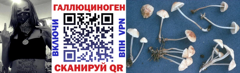 Галлюциногенные грибы GOLDEN TEACHER Велиж